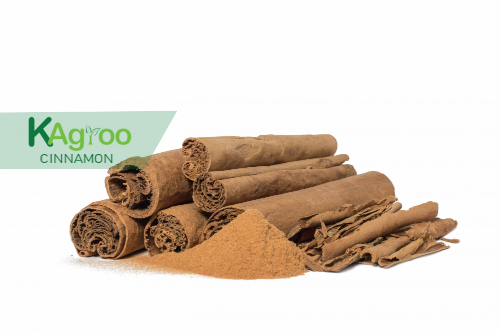 How Ceylon Cinnamon was produced and graded.